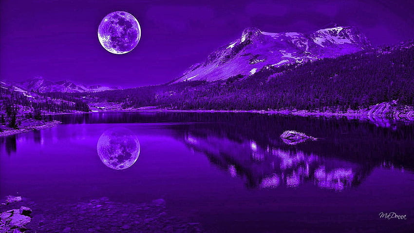 Purple Nights Reflection HD wallpaper