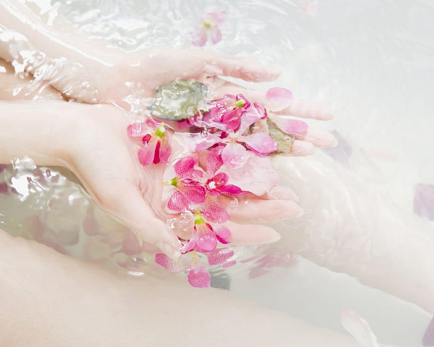 Waktu santai, pink, kelopak, tangan, spa, air Wallpaper HD