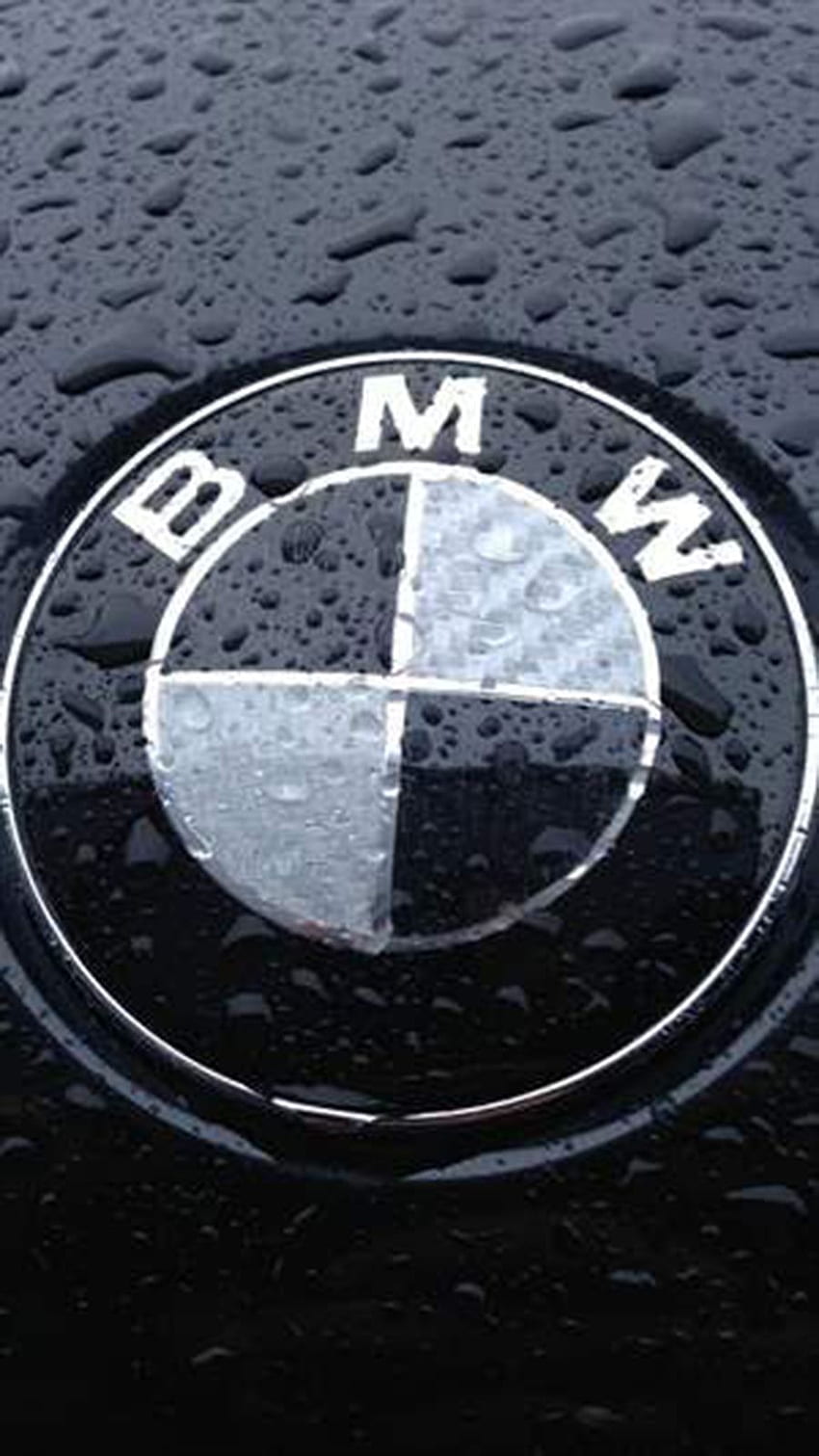 Bmw Logo, BMW M3 Logo HD phone wallpaper | Pxfuel
