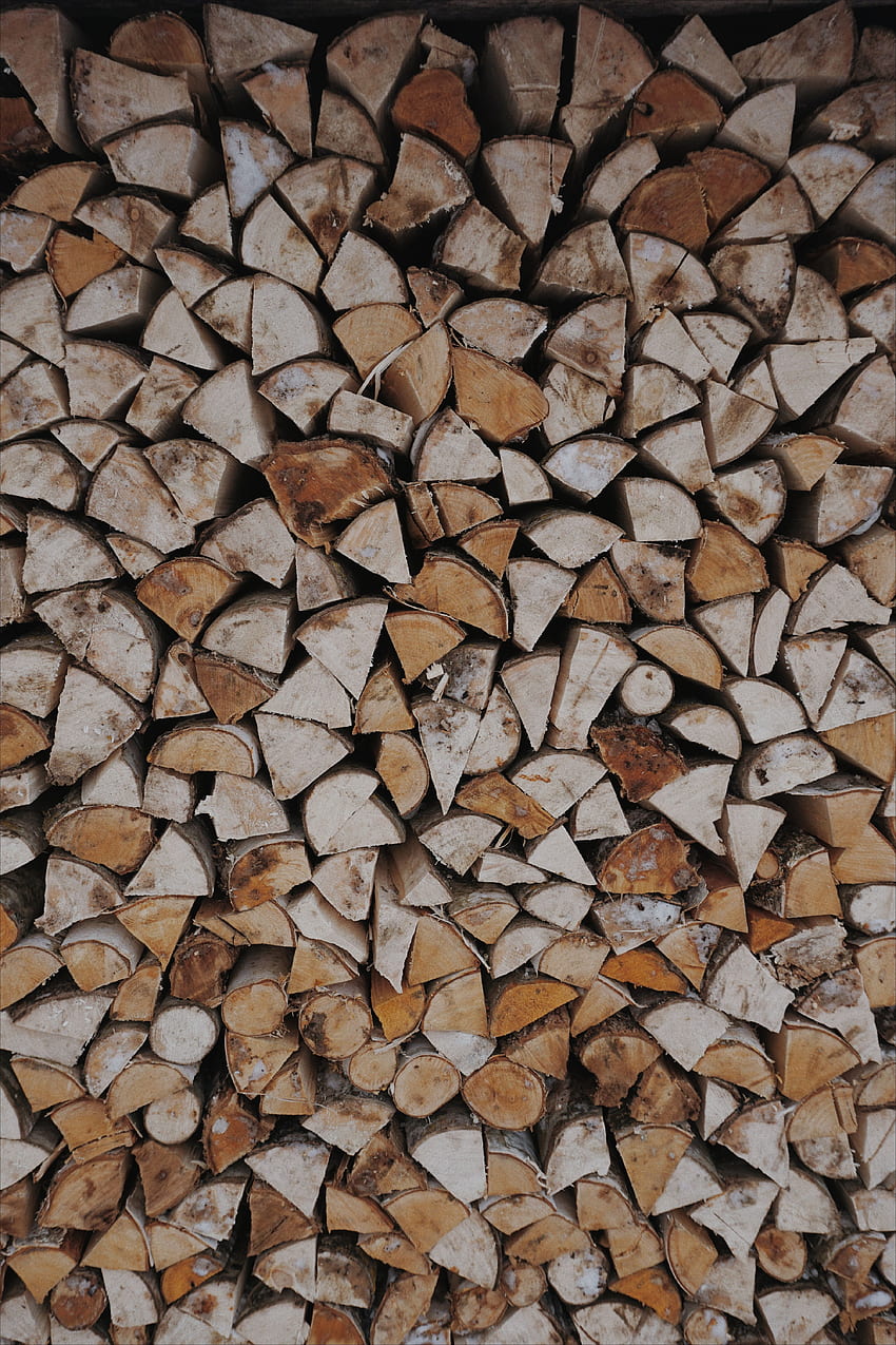 Wooden, Wood, Firewood, Woman, Warehouse, Woodpile HD phone wallpaper