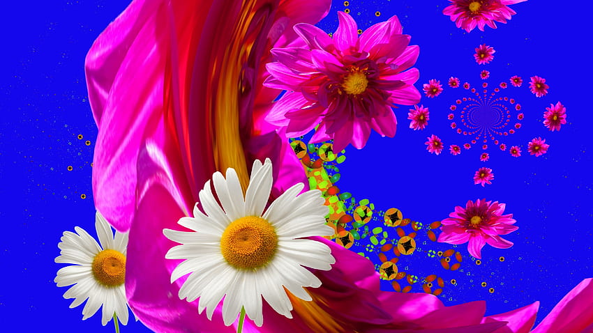 Happy flowers, blue, white, flowing, fabric, daisies, pink, pretty, flowers, magenta HD wallpaper