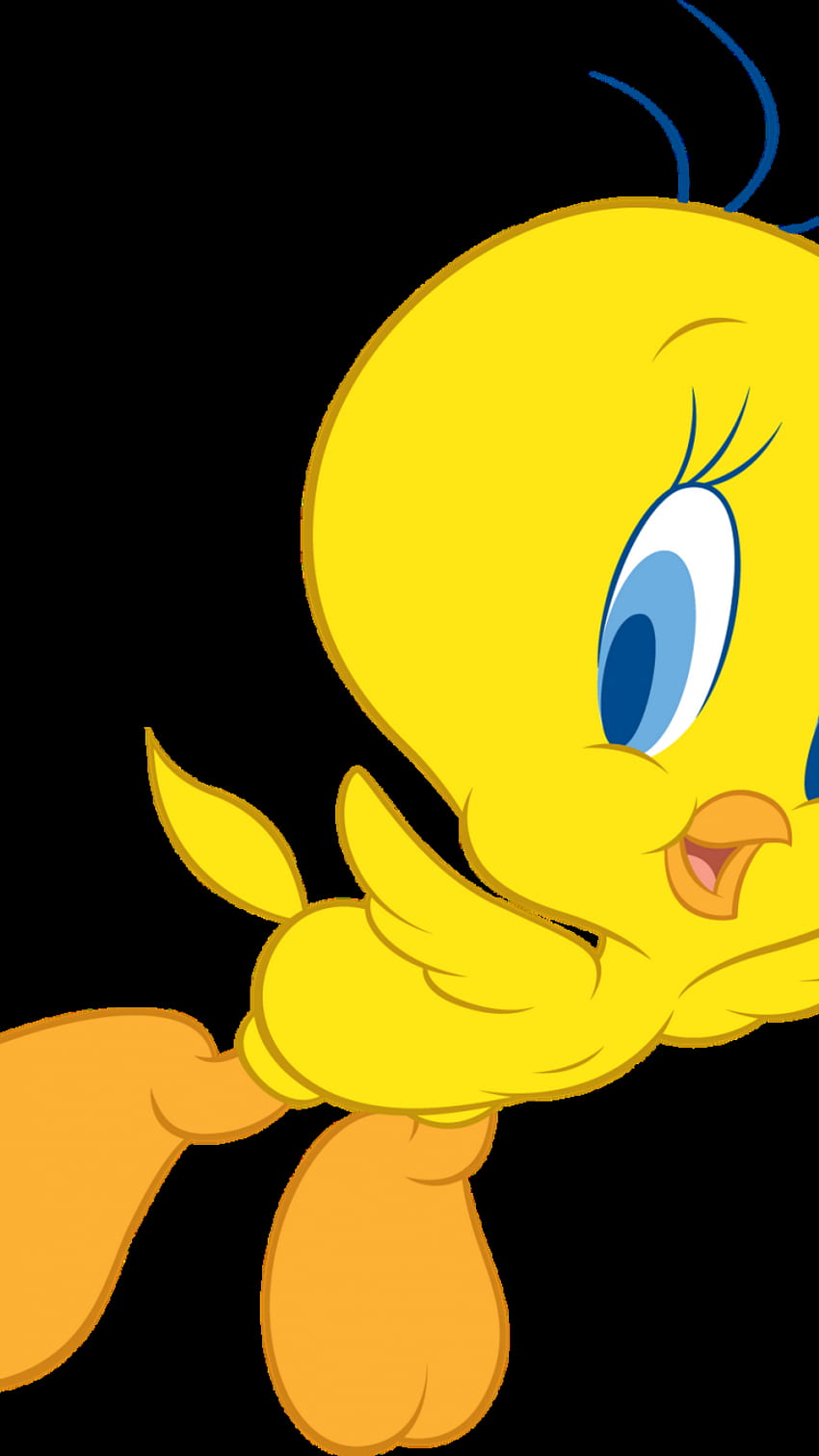 Cute Walt Disney Tweety Bird Characters [] for your , Mobile & Tablet. Explore Cute Disney Character . Cute Disney for , Cute Disney Spring HD phone wallpaper