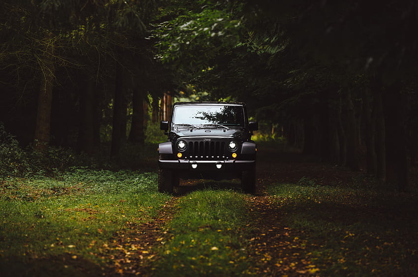 Jeep preto, floresta, Jeep Wrangler papel de parede HD