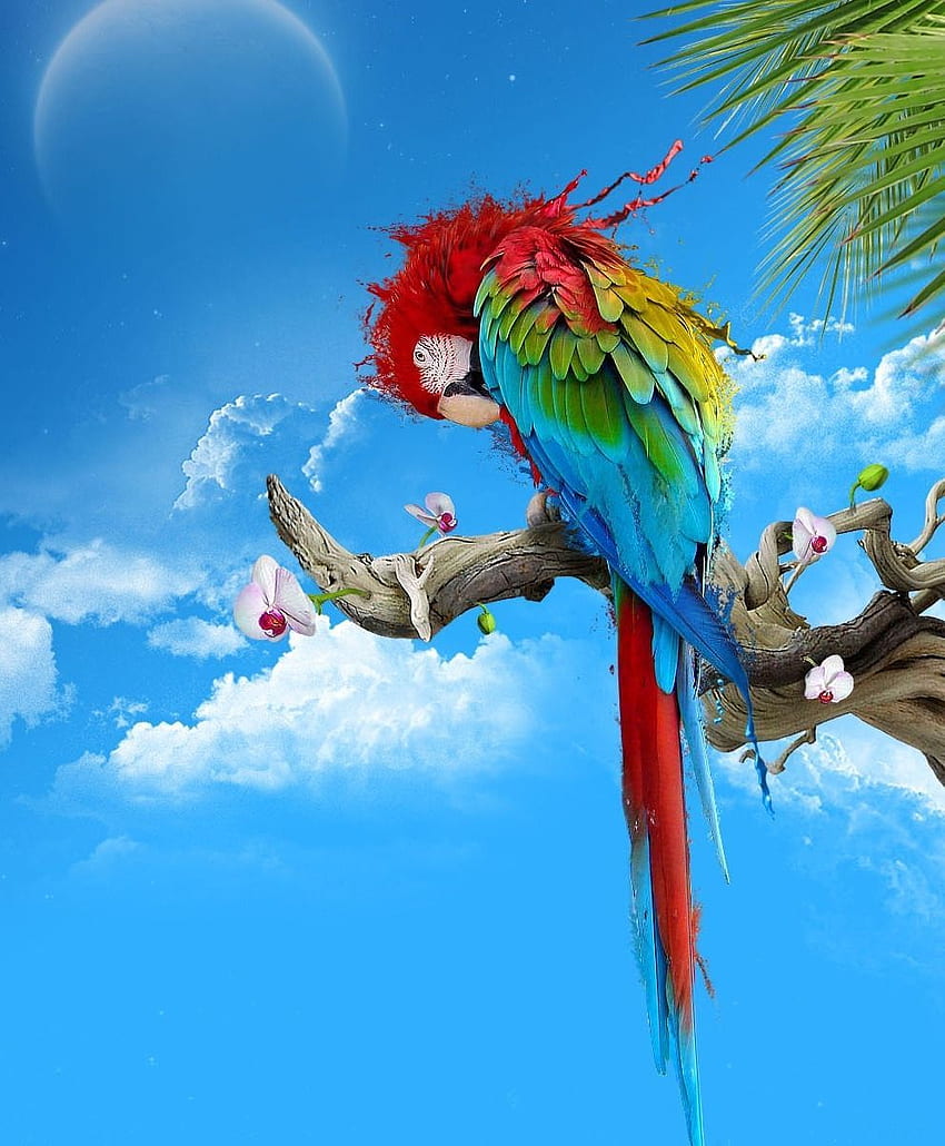 Guacamaya. Fondo iphone, , Aves de colores HD-Handy-Hintergrundbild