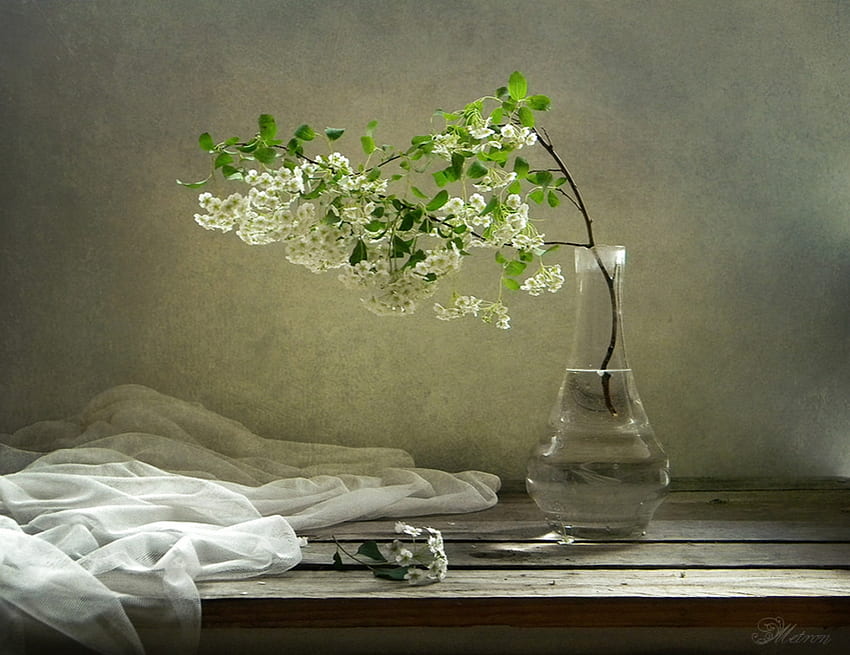 natureza morta, flores, toalha de mesa, vaso, mesa papel de parede HD