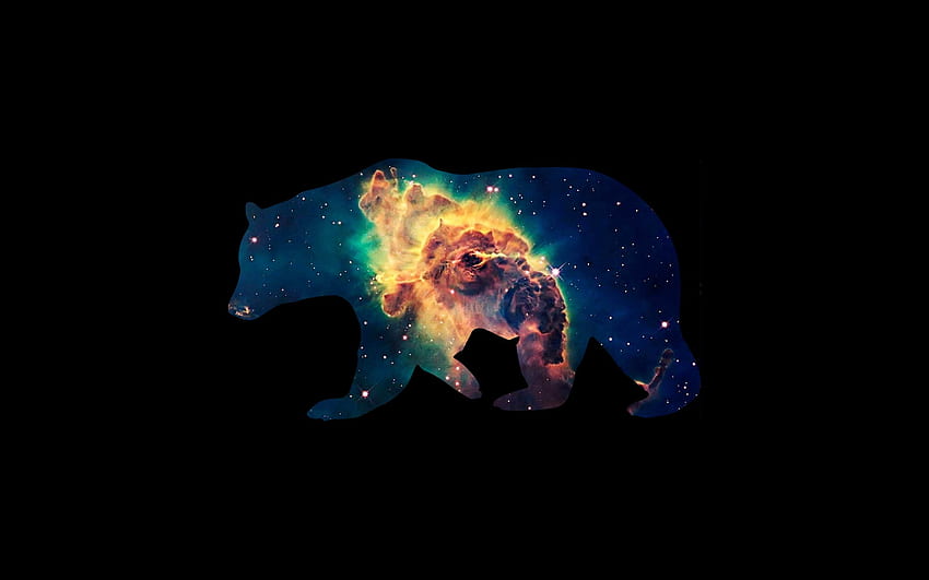 Astronomy, Outer Space, Space, Universe, Head resized, Space Bear HD wallpaper