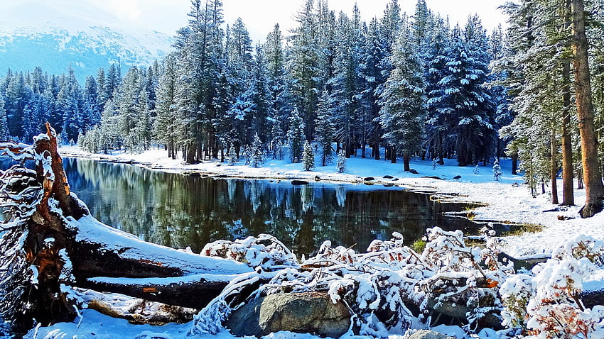 Езерото Тиога, Национален парк Йосемити, Калифорния, сняг, зима, пейзаж, дървета, облаци, небе, САЩ HD тапет