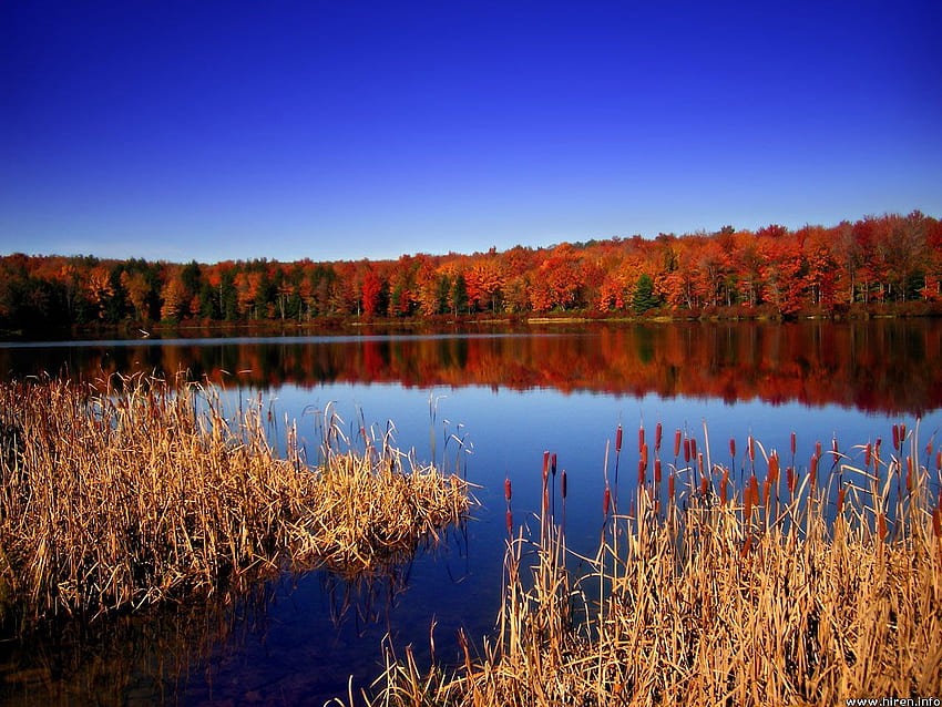 Pemandangan Pennsylvania, pennsylvania, rumput kering, hutan, danau, warna musim gugur Wallpaper HD