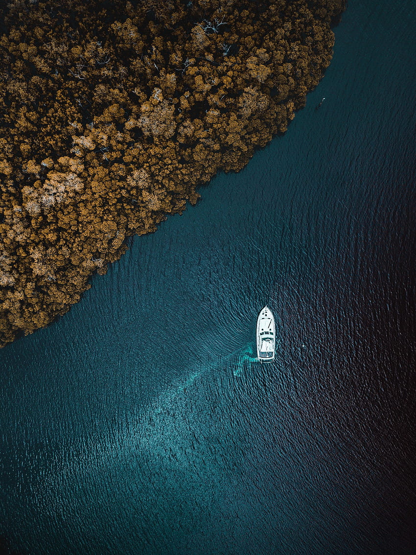Nature, Trees, Sea, View From Above, Shore, Bank, Yacht HD phone wallpaper