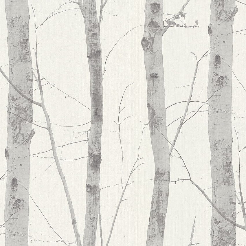 Erismann Silver Birch Tree 6305 10 HD phone wallpaper | Pxfuel