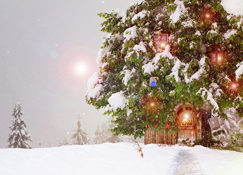 Weihnachten, Winter, Grafik, wunderbar, Schneeflocken, Schneeflocke, Schnee, Bäume, Sonne, Kälte, schön, Baum, Natur, Himmel, schön, Pracht, Eis HD-Hintergrundbild