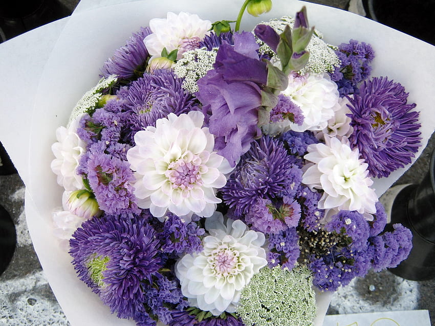 ดอกไม้, ดอกเบญจมาศ, การพิมพ์, การลงทะเบียน, ช่อดอกไม้, Dahlias วอลล์เปเปอร์ HD