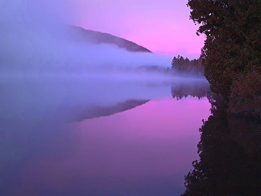 Sunday eve, mist, pink sky, cliff, reflections, ocean, calm water HD wallpaper