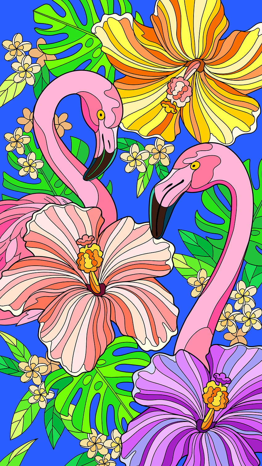Flower, pink, flamingo HD phone wallpaper