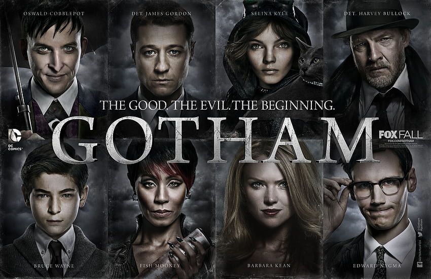 Gotham 8, Gotham Bruce Wayne HD wallpaper