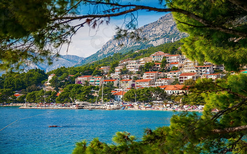 緑、クロアチア、海、丘、地中海、空、家、木を通るブレラ村 高画質の壁紙