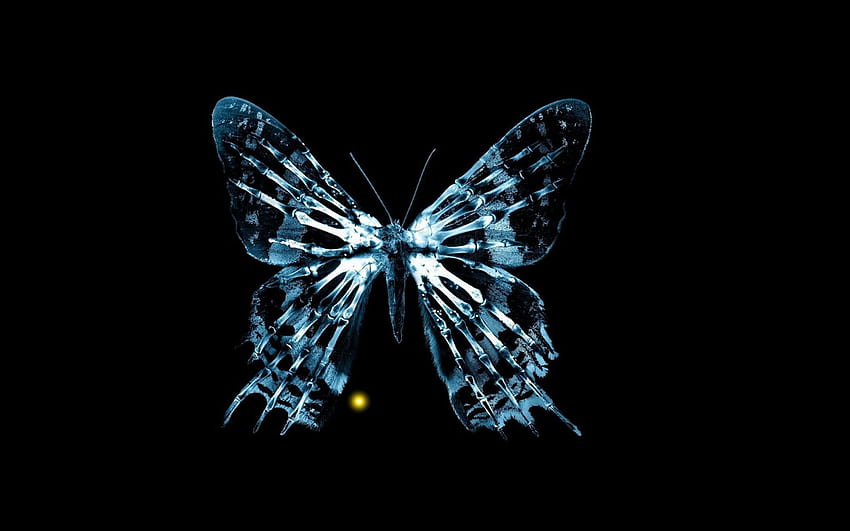 Fernsehsendungen von Nevena. Schmetterling, Fringe-TV-Serien, Schmetterlingseffekt HD-Hintergrundbild