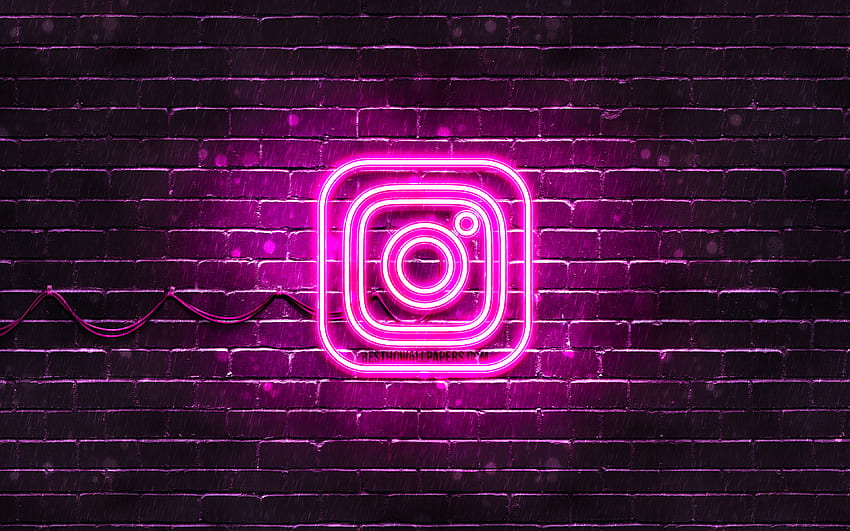Logotipo roxo do Instagram, parede de tijolos roxa, novo logotipo do Instagram, redes sociais, logotipo neon do Instagram, logotipo do Instagram, Instagram papel de parede HD