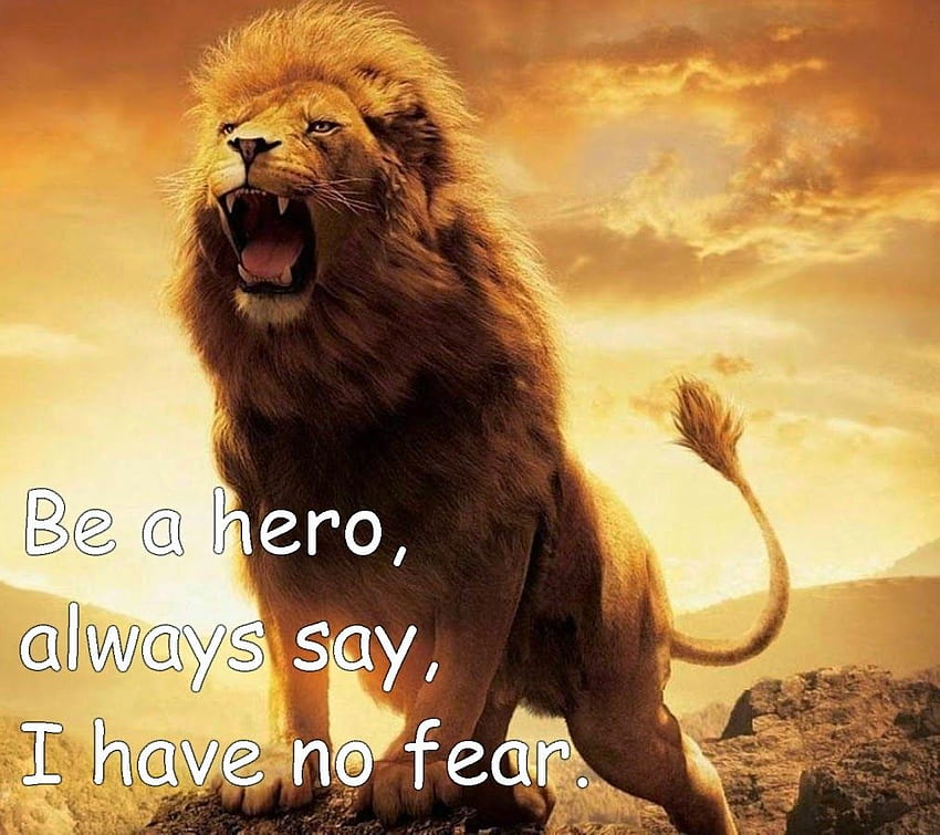Motivational Lion Quotes In Hindi With 25 Greatest - Lion HD wallpaper |  Pxfuel