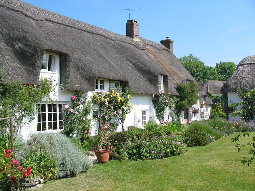 cottage anglais, anglais, jardin, cottage, roses Fond d'écran HD