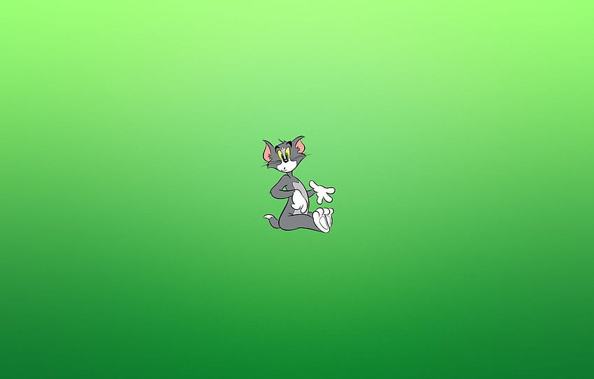 cat, look, surprise, minimalism, Tom and Jerry, Tom HD wallpaper