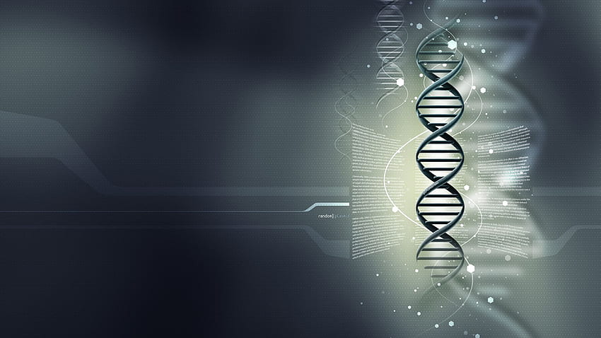 DNA Double Helix HD wallpaper