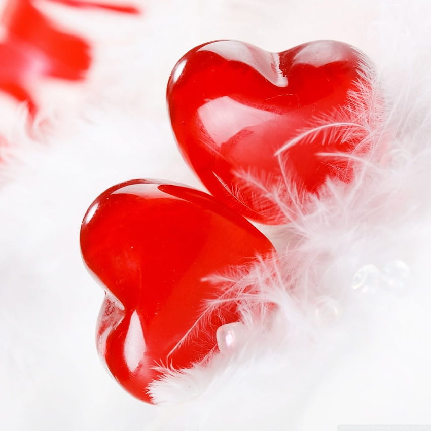 Two Hearts  Colorful heart Heart balloons Heart wallpaper