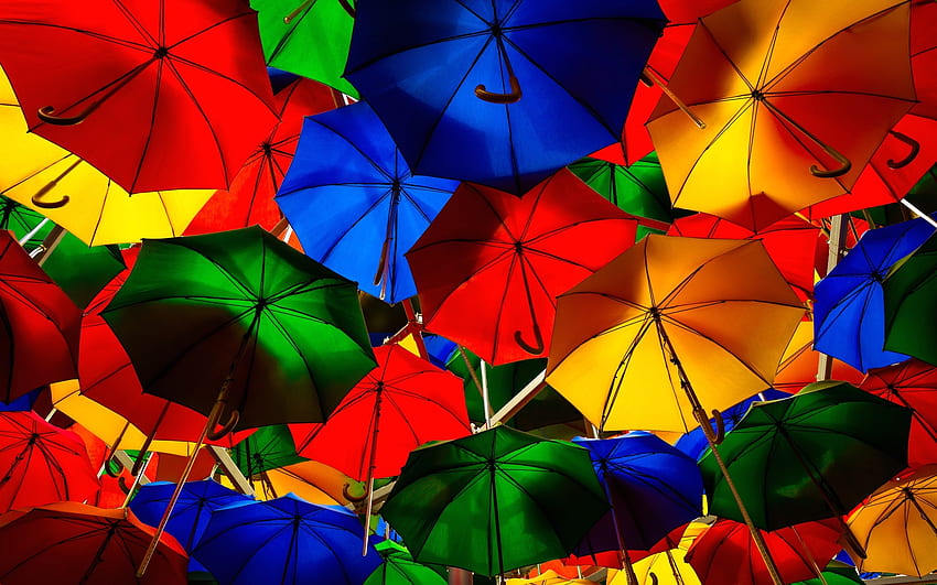 Colorful umbrellas, street HD wallpaper