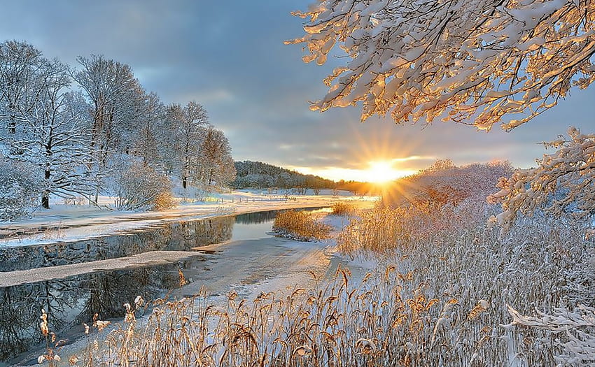 Winter - sunrise, trees, river, Winter, sunrise HD wallpaper