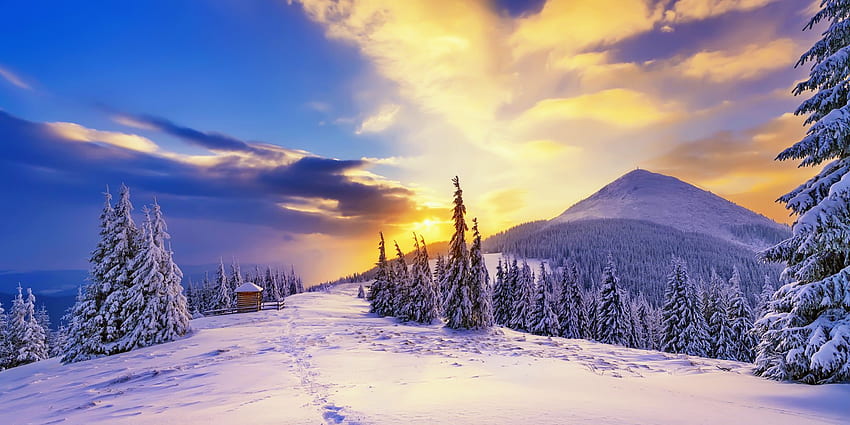Inverno, inverno, geada, declive, paisagem, frio, linda, montanha, neve, esqui, árvores, céu, floresta, pôr do sol papel de parede HD