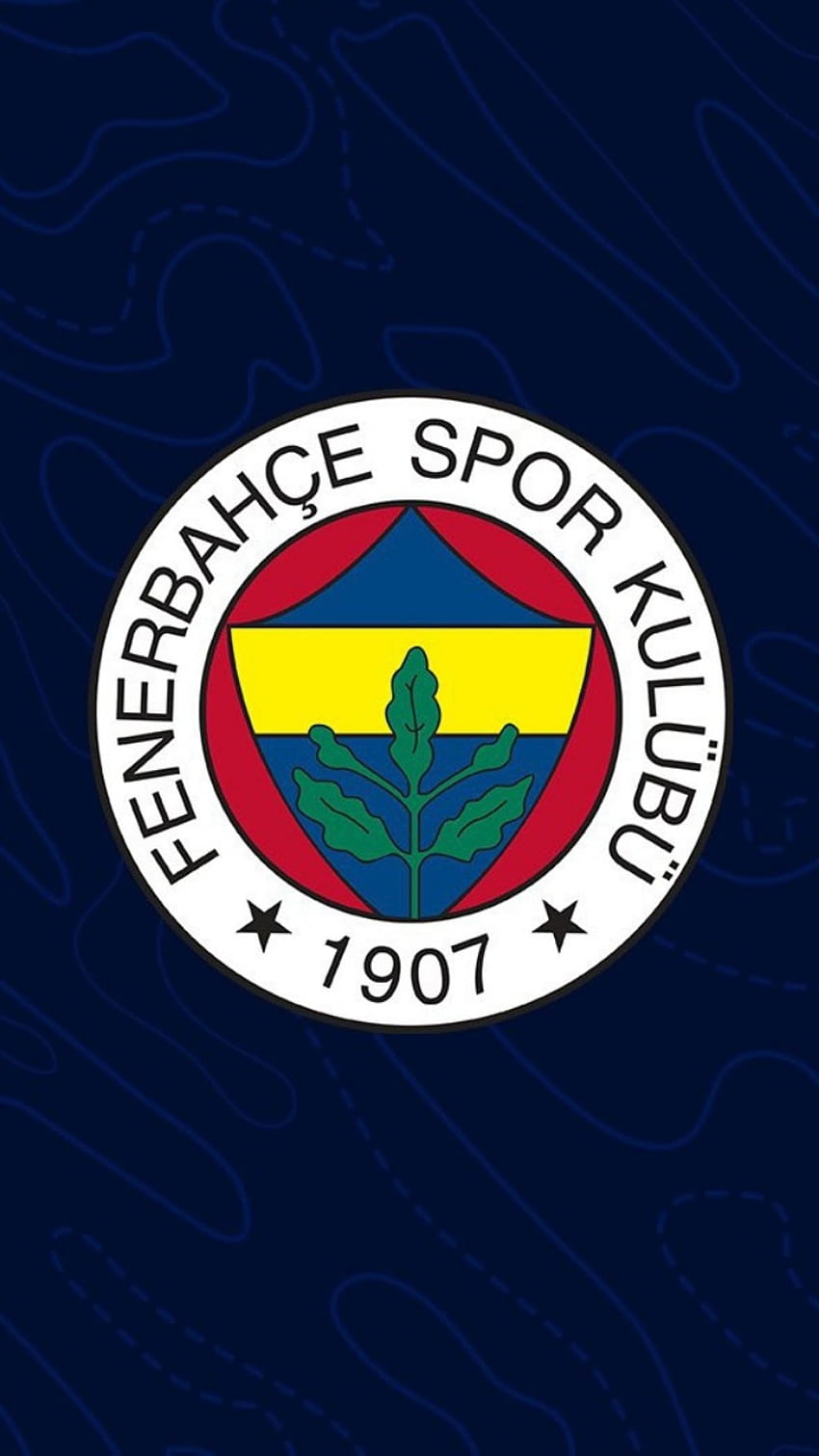 Fenerbahçe, fener, fenerbahce, football HD phone wallpaper