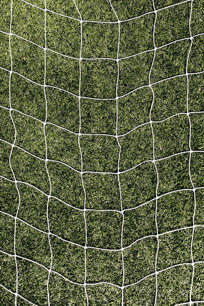 Grass, Texture, Textures, Grid, Lawn HD phone wallpaper