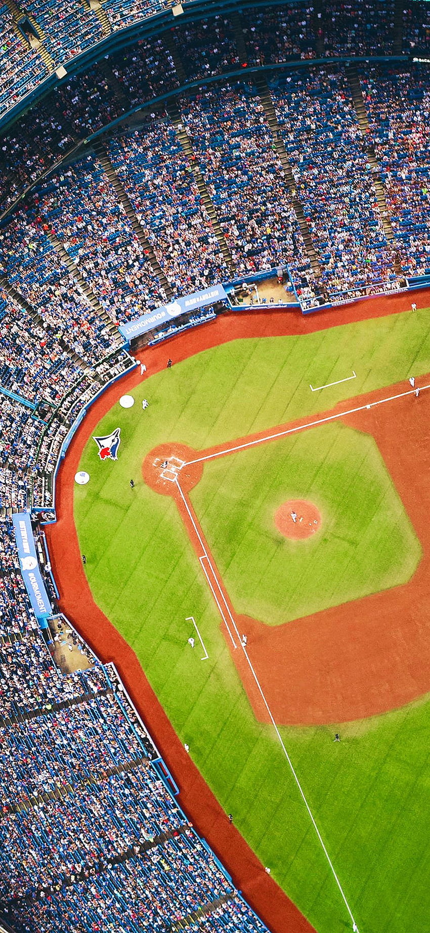Baseball For iPhone, Baseball Field HD phone wallpaper