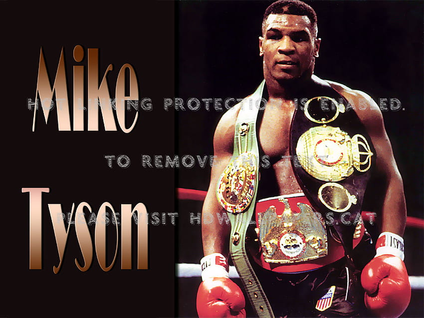 Mike Tyson Champion Boxing Boxer Sports HD Wallpaper | Pxfuel