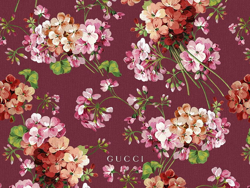 Randy Baeza über GUCCI. Blumen iphone, Blumendruck, Gucci-Blumen, Gucci-Schmetterling HD-Hintergrundbild