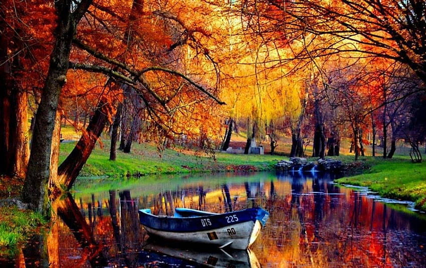 Perahu, merah, musim gugur, danau, taman Wallpaper HD