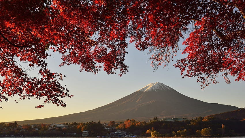 Color : 自然 秋の風景 美、日本の秋 高画質の壁紙