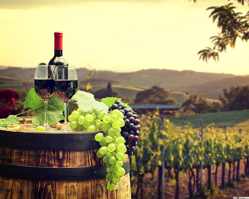 Red wine, barrel and grape garden HD wallpaper