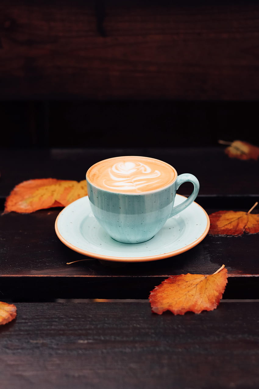 Food, Autumn, Leaves, Coffee, Cup HD phone wallpaper