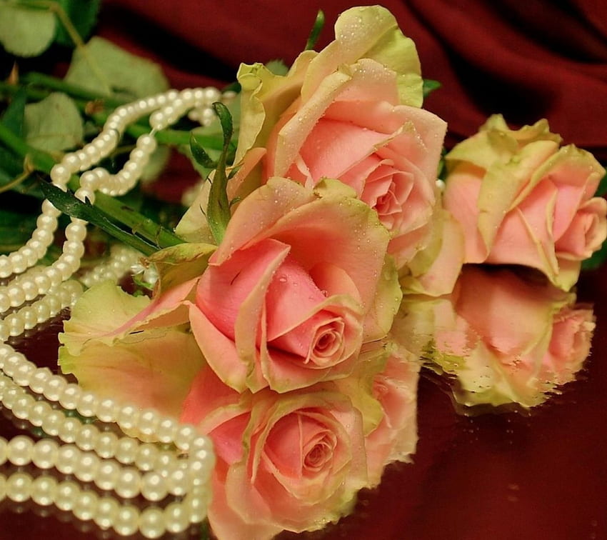 Flores rosadas, rosa, preciosa, cadenas, flor. fondo de pantalla