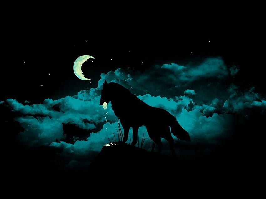 Latar Belakang Serigala Gelap. Serigala Hitam - Serigala Tengah Malam Wallpaper HD
