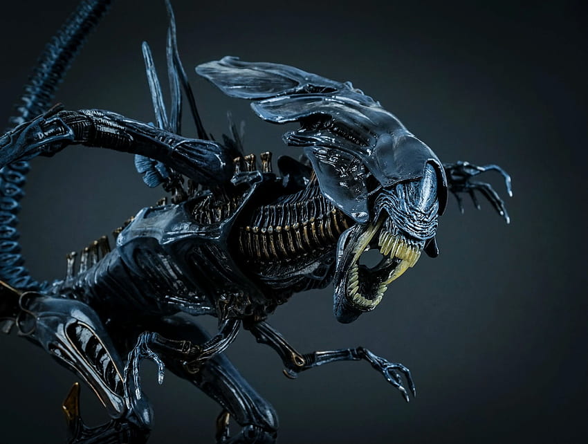 Alien, Horror, Sci Fi, Futuristisch, Dunkel, Aliens, Kreatur, Überleben, Monster / und mobiler Hintergrund HD-Hintergrundbild