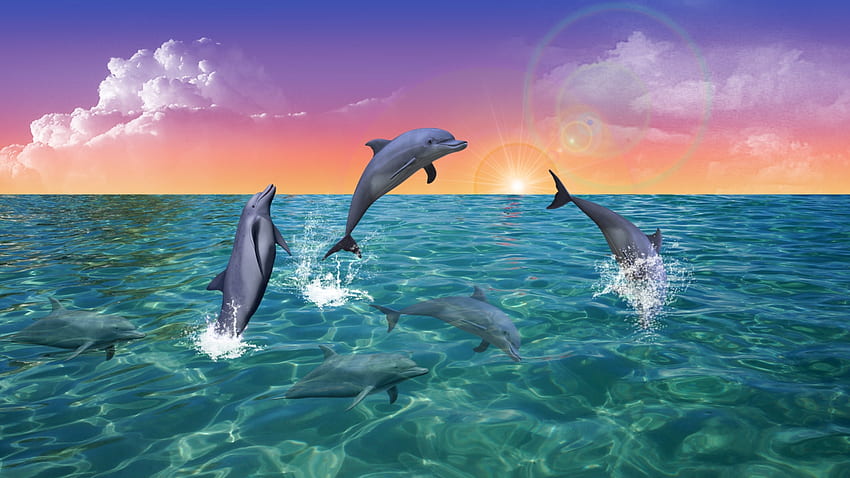DOLPHINS AT PLAY, DOLPHINS, SKY, CLOUDS, OCEAN, WAVES, PLAYING HD wallpaper