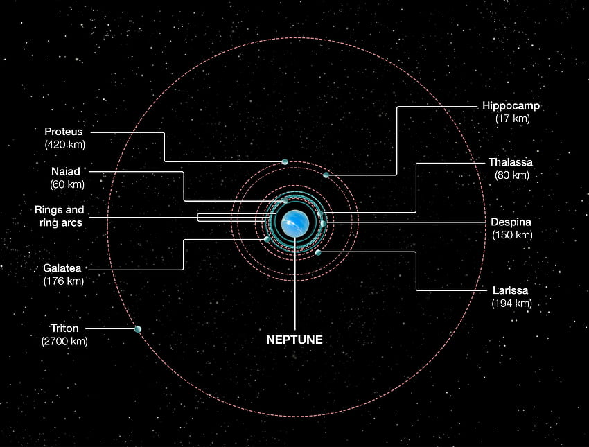 Umlaufbahnen von Neptuns inneren Monden HD-Hintergrundbild