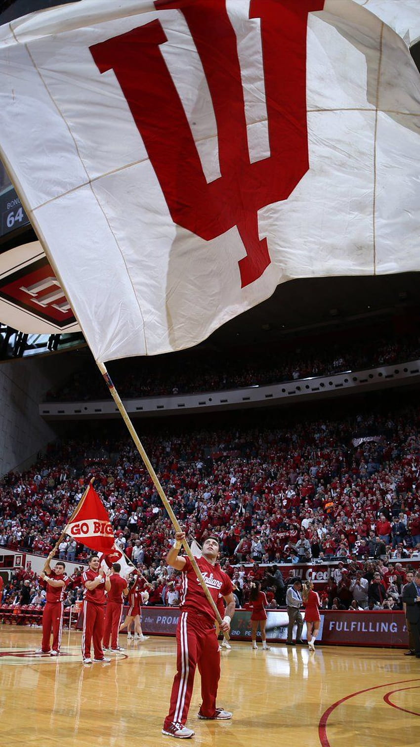 Indiana Hoosiers - Need a new background for your, Indiana University Basketball HD phone wallpaper