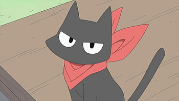 Nichijou, hakase, anime, black cat, sakamoto, cat ears, blue eyes, HD  wallpaper