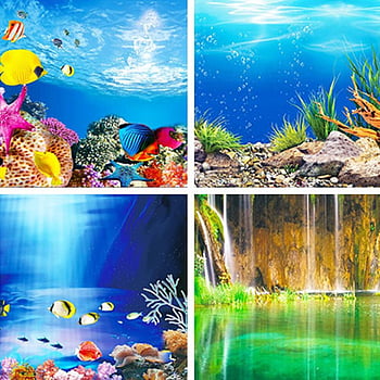Aquarium background poster HD wallpapers | Pxfuel