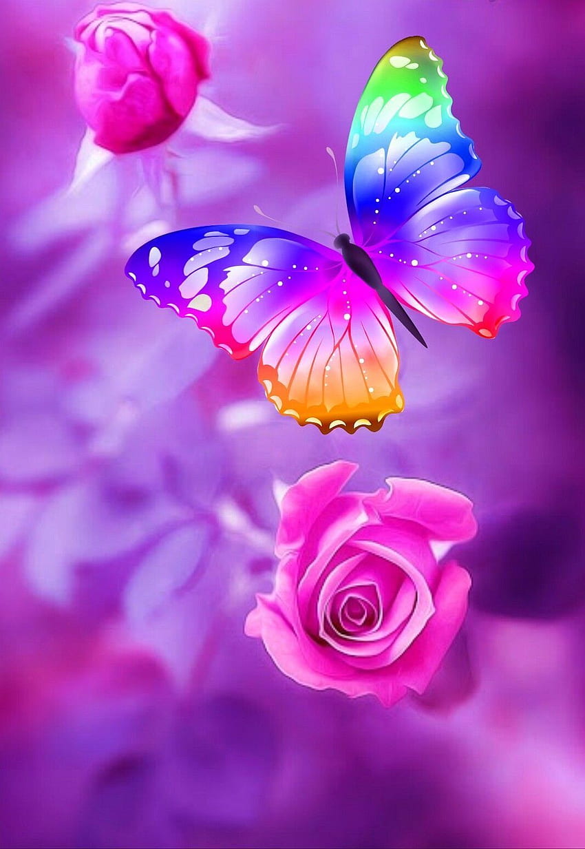 Цвете пеперуда iPhone фон, красива пеперуда HD тапет за телефон