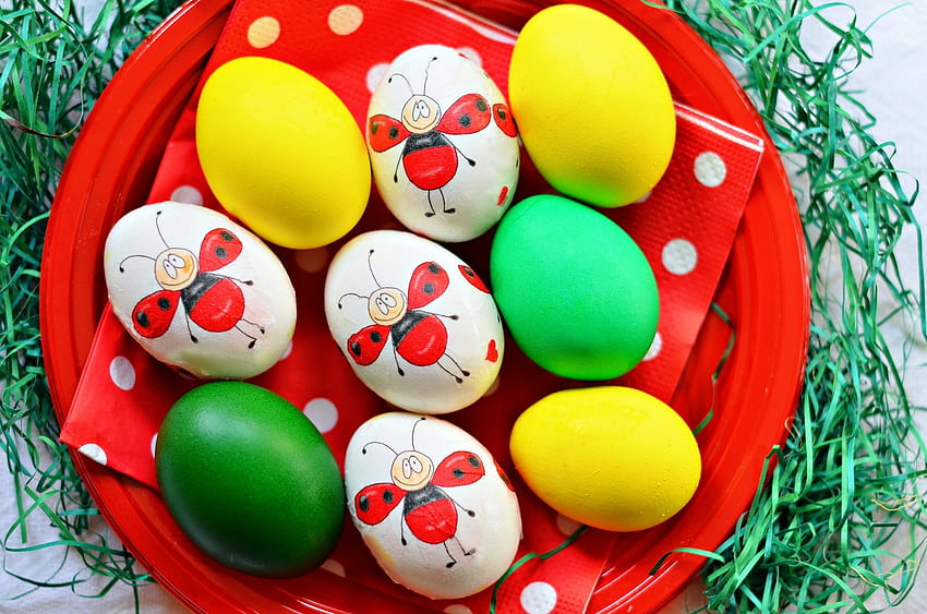Feiertage, Eier, Ostern, Teller, bemalt HD-Hintergrundbild