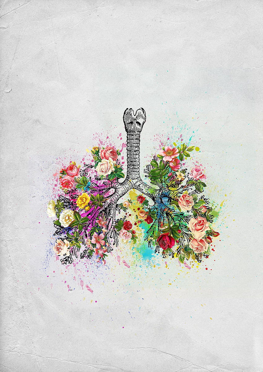 Flowers Lungs Skeleton Watercolor Available as prints on Society6, Anatomy Art HD phone wallpaper